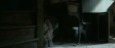 Modesty. - Fantastic Beasts and Where to Find Them