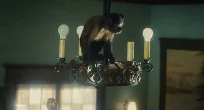 Mom got a monkey Why'd you get a monkey'Cause I needed to laugh - The Fabelmans
