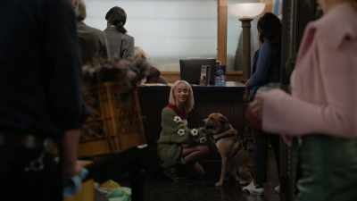 - Mom, we have to get a dog.
- [Morgan] No. - High Potential