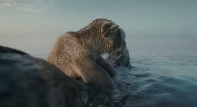 Mom? Please. I'm scared. I'm scared. - Mufasa: The Lion King