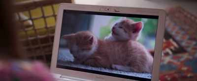 Mom? Why are you looking
at a cats video? - The Lost Girls