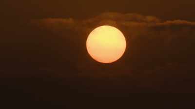 Momaday: The Sun Dance
was an indispensable part - The American Buffalo