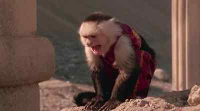 [MONKEY SCREECHING] - Relic Hunter