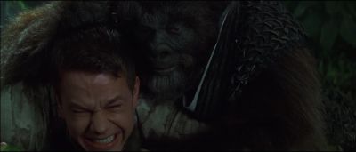 Monkeys are further down the evolutionary ladder - Planet of the Apes