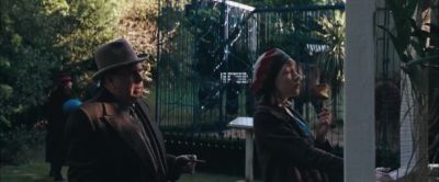 Monkeys are just like you and me - Death Defying Acts