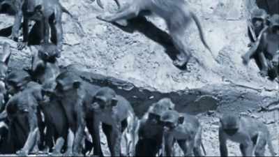 (monkeys howling) - The UnBelievable with Dan Aykroyd