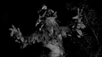 (Monster growling) - The Horror of Party Beach