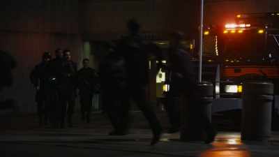 Montag:
Eels on the move!
Eels on the move! - Fahrenheit 451