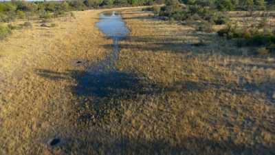 Months later, the floodwaters
are creeping back into Botswana - In the Footsteps of Elephant