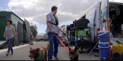 Months of Kriv's hard work
was about to pay off... - Koko: A Red Dog Story