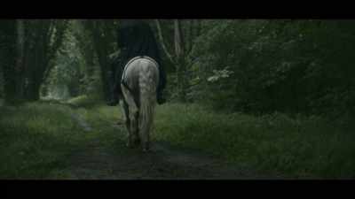 Montmorency had not been seen - The Serpent Queen