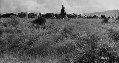 [MOOING] - Cast a Long Shadow