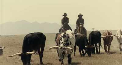 [mooing] - The Ballad of Buster Scruggs