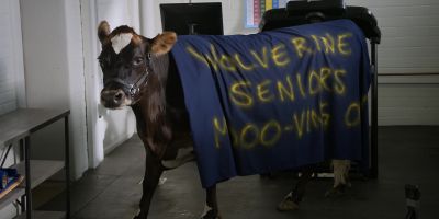 (mooing) - Walker