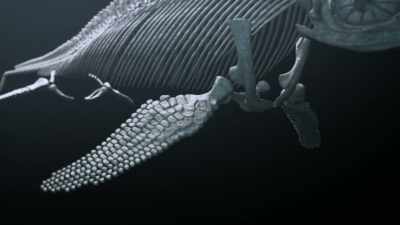 MOON: Here are the forelimbs,
right at the front, - Attenborough and the Sea Dragon