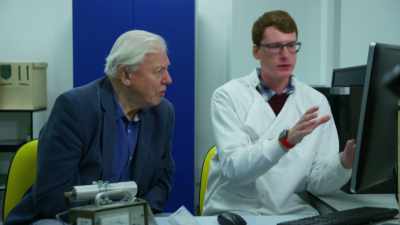 MOON:
This is the whole animal, - Attenborough and the Sea Dragon