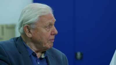 MOON:
Yes, this is certainly bigger - Attenborough and the Sea Dragon
