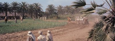 Moonhead Give me those reins you fool - Ben Hur