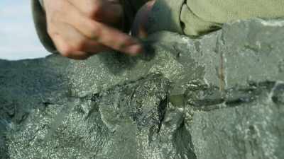 MOORE:
And these are the ribs
that are still - Attenborough and the Sea Dragon