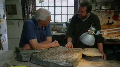 MOORE: It looks like
it's been attacked. Gosh. - Attenborough and the Sea Dragon