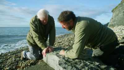 MOORE:
So, lots over here,
with a bit of a wash. - Attenborough and the Sea Dragon