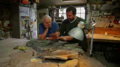 MOORE: They should be,
basically, in this position - Attenborough and the Sea Dragon