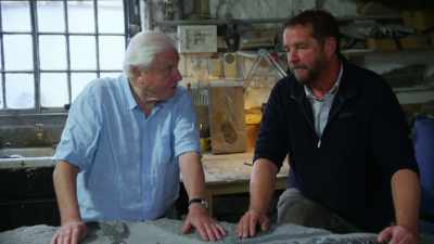 MOORE:
Very few, very, very few, - Attenborough and the Sea Dragon
