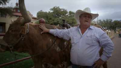 (moos) - United States of Animals