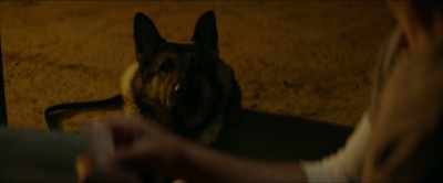 MORALES: He looks like he's
actually trying to decide - Megan Leavey