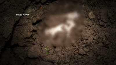 MORE AND MORE OF HER
JUST STARTED TO COME INTO VIEW. - Evil Lives Here: Shadows Of Death