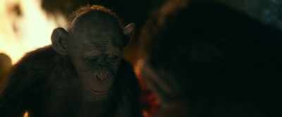 More apes like us. - War for the Planet of the Apes