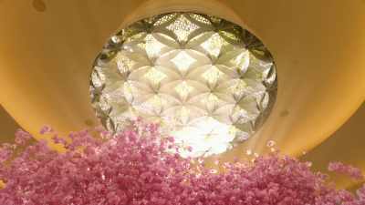 More confident, far-seeing,
capable and prudent. - Cosmos: Possible Worlds