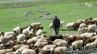 More recently, they've been
persecuted in Iraq by ISIS. - From Russia to Iran: Crossing Wild Frontier