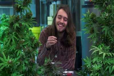 -More tea!
-[plant 1 exclaiming in Mandarin] - Disjointed