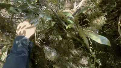 More than a chainsaw for making it
easy for Bruce. - Explorer: The Last Tepui