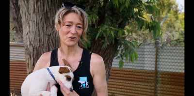 More than anything, he's
helping to save dogs in need. - Koko: A Red Dog Story