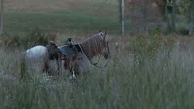 - Morgan: Hey. - The Walking Dead