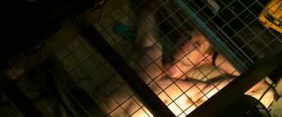 MORGAN: I'm sorry. - Patient Zero