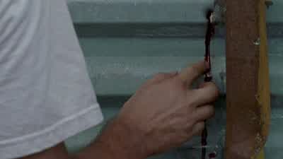 Morning. - The Walking Dead