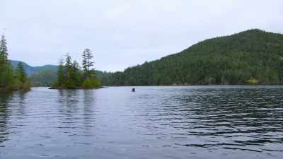 MORGAN: So you've never
caught a trout - Chefs vs Wild