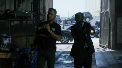 Morgan's starlings. - CSI: Crime Scene Investigation