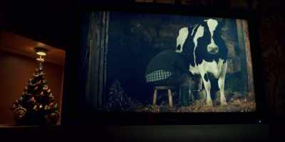 Morning, girl. - Guillermo del Toro's Cabinet of Curiosities