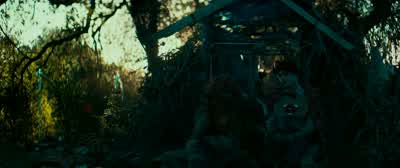 Morning, Hank. - Swiss Army Man