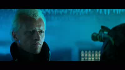 Morphology. - Blade Runner