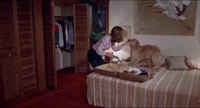 Mortimer, what are you doing? - An Eye for an Eye