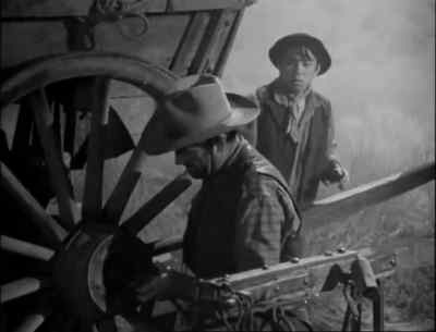 Mosquito. - Westward the Women