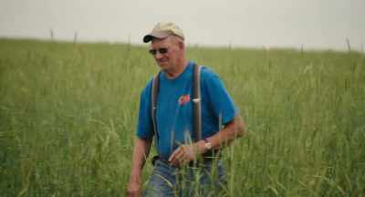 Most farmers would
be freaking out - The Pollinators