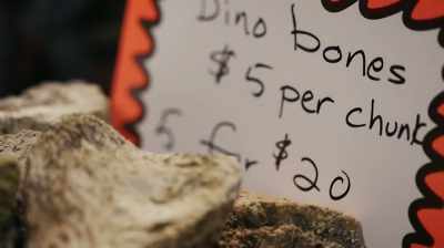 MOST FOLKS CAN AFFORD
A $100 ITEM - Dino Hunters