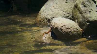 Most hunts aren't successful. - Super/Natural