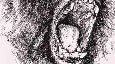 Most of your Sasquatches
are in that range. - Secrets of the Sasquatch